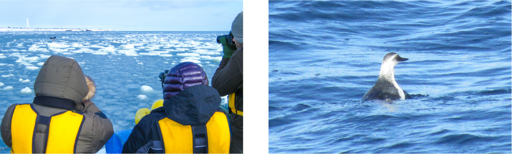 パノラマクルーズイメージ