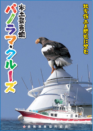 パンフレット表